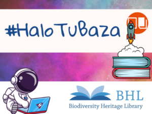 napis #halo tu baza promujący e-źródła z logotypem ceeol, ciniby i rysunkiem astronauty