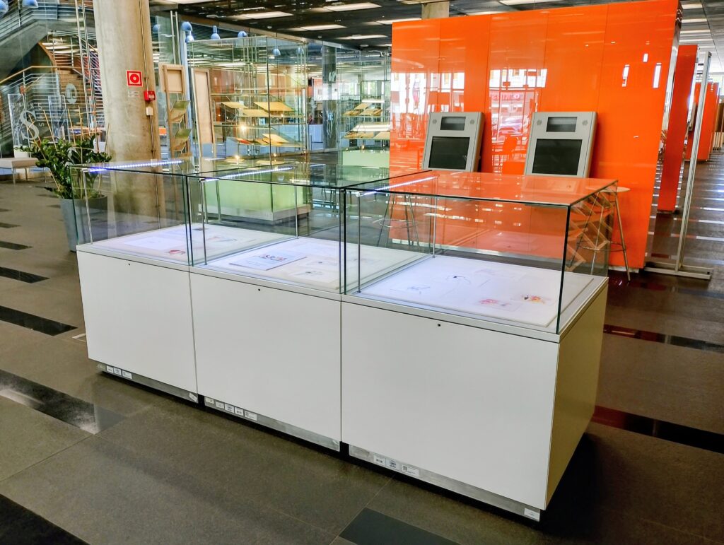 zdjęcie gabloty z wystawą w cinibie